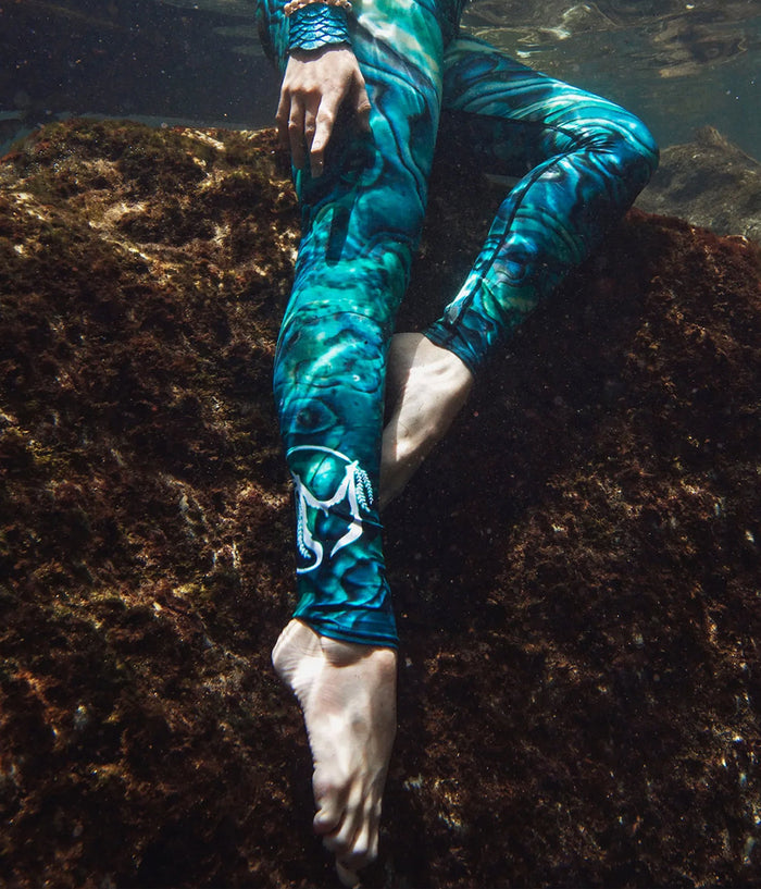 Abalone Obsessed