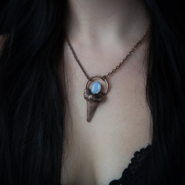Shark Tooth pendant with Moonstone