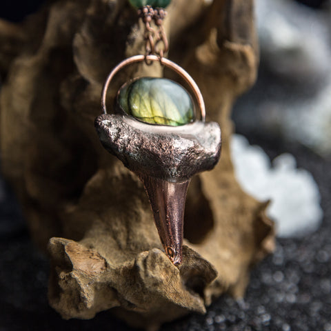 Shark Tooth Pendant Topped with Labradorite