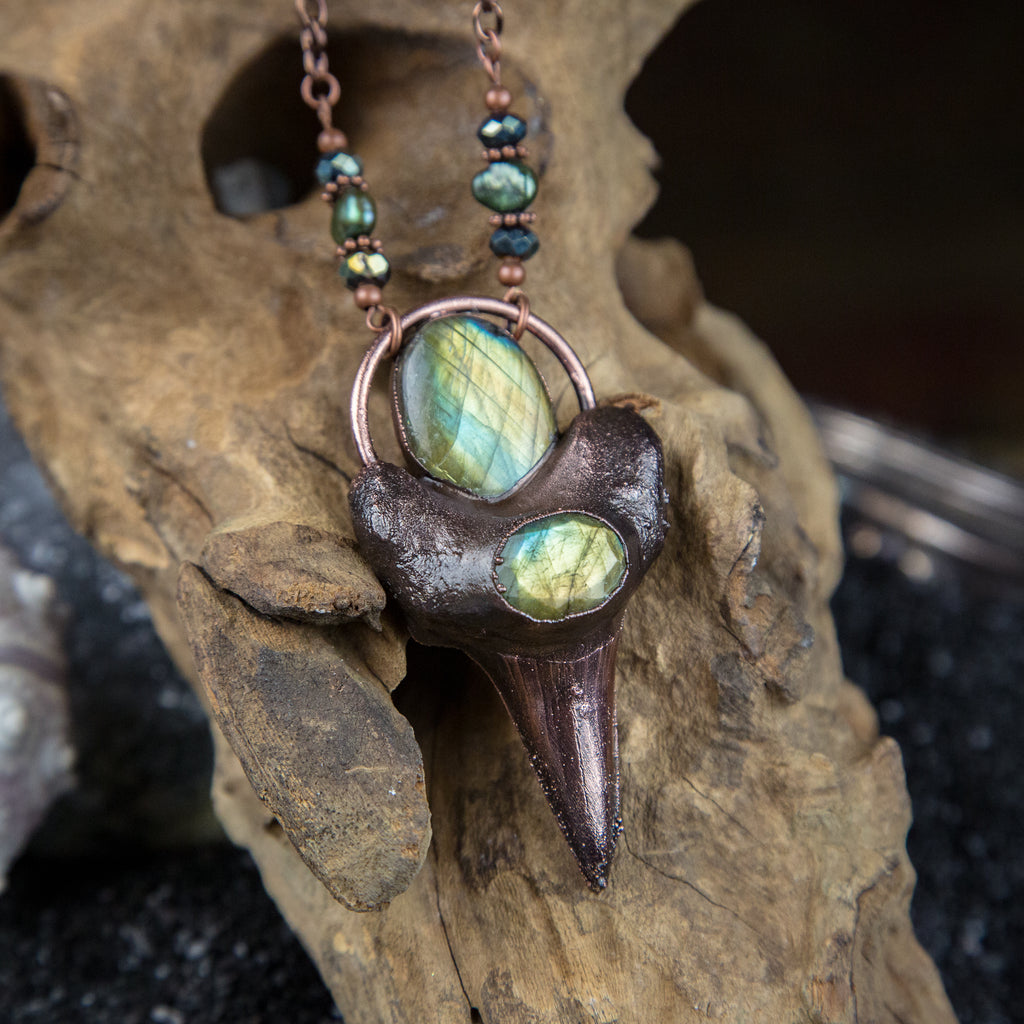 Shark Tooth Pendant with Two Labradorite Cabochons
