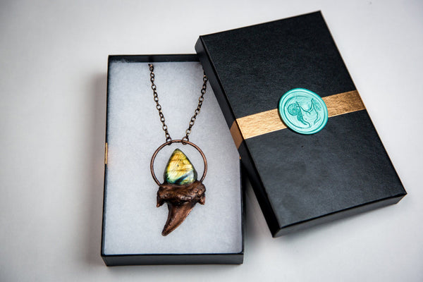 Shark Tooth Pendant Topped with Beautiful Labradorite