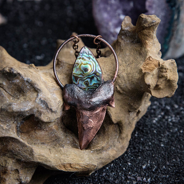 Shark Tooth Pendant Topped with Abalone