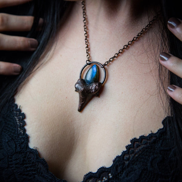 Shark Tooth Pendant Topped with Blue Labradorite
