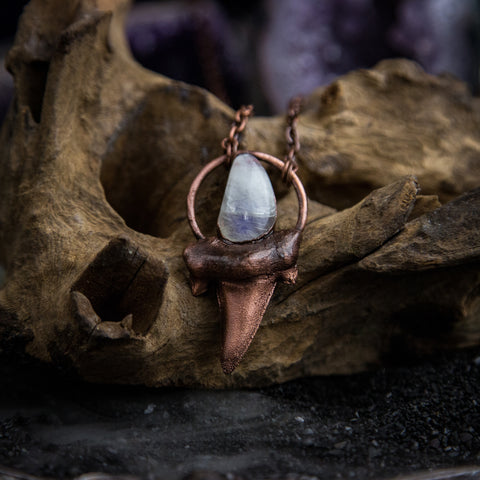 Shark Tooth pendant with Moonstone