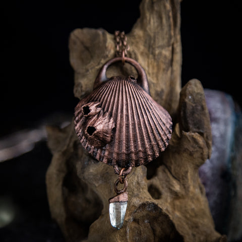Barnacled Scallop Shell with Quartz Point